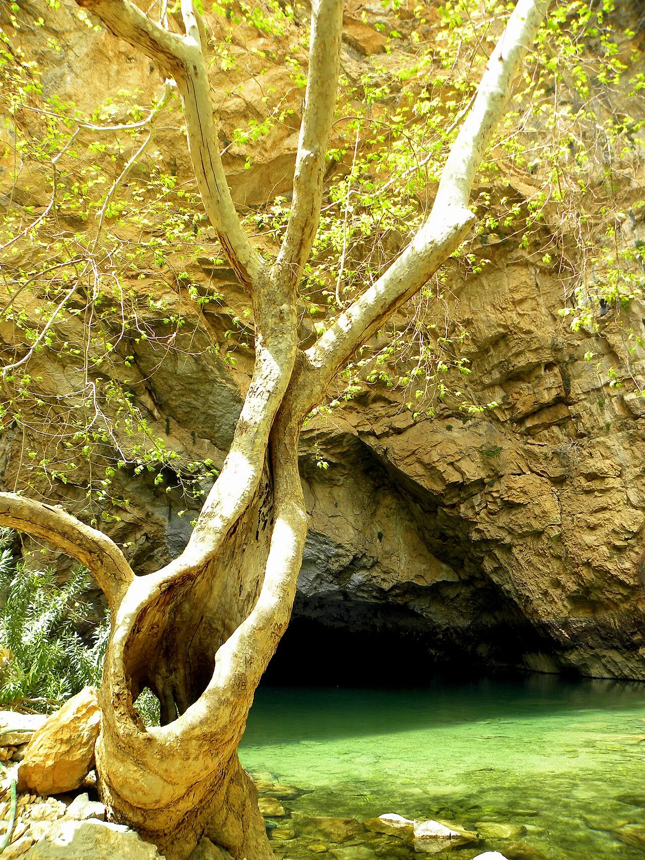 Altınbeşik Mağarası - Antalya