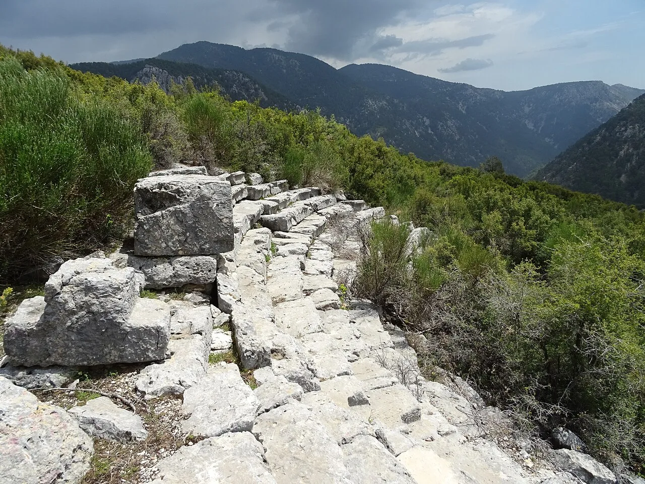 Nisa - Antalya