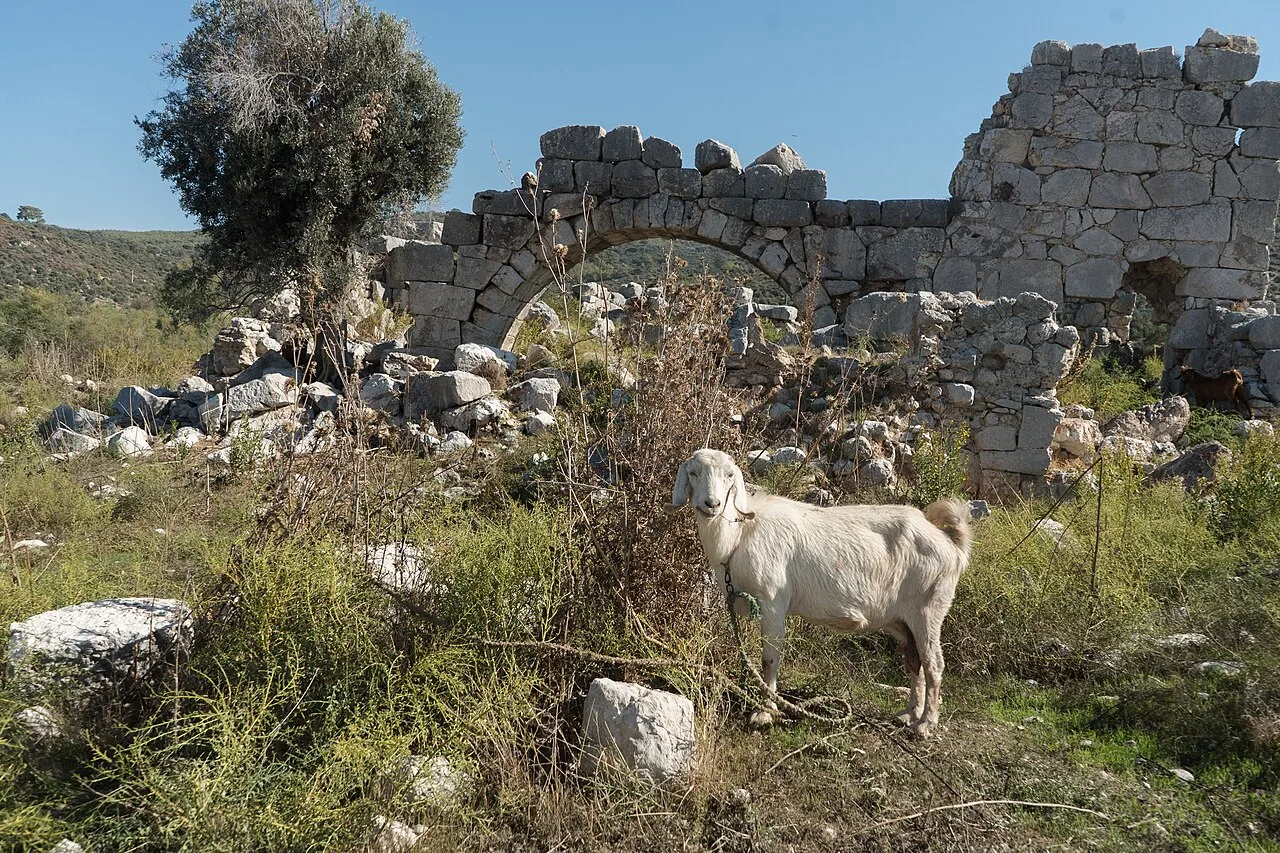 Patara Merkez Hamamı - Antalya