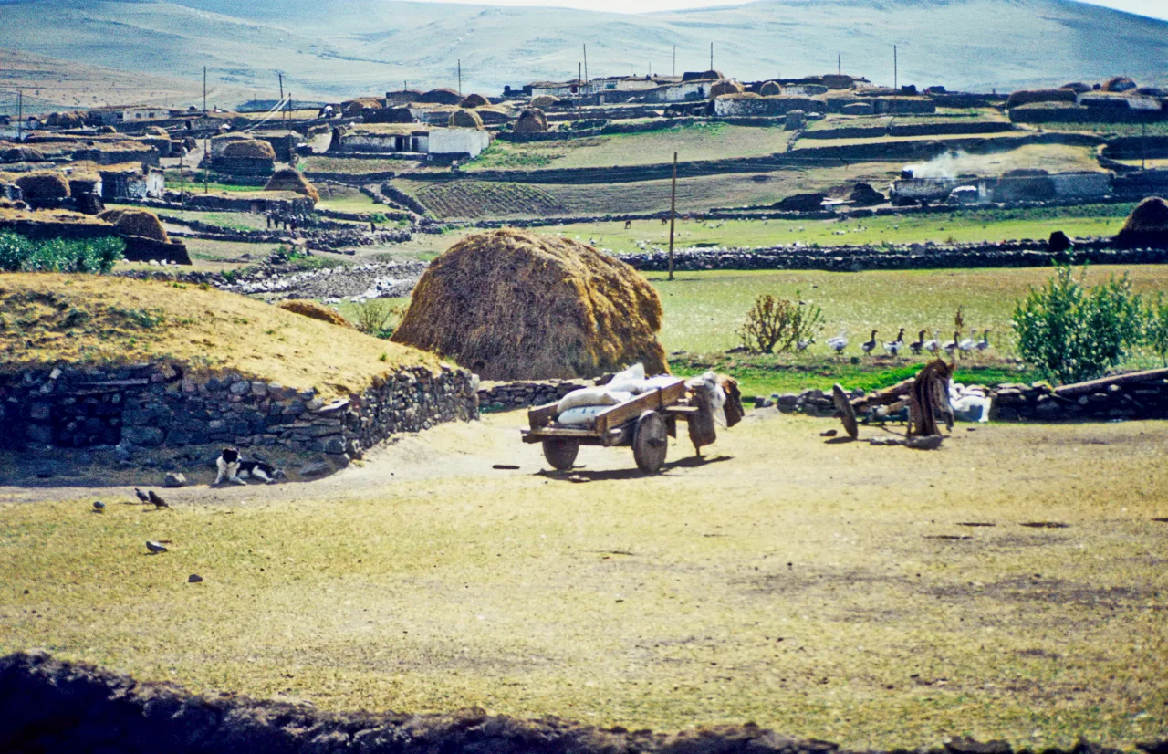 Ardahan Yaylası - Ardahan