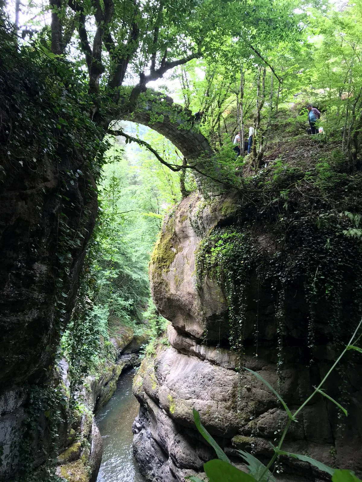 Banakna Köprüsü - Artvin