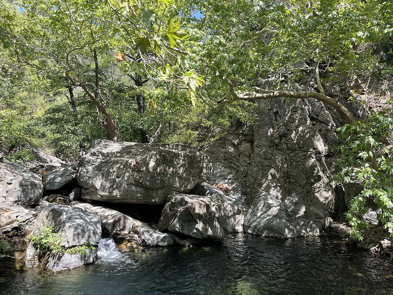 Kazdağı Millî Parkı - Balıkesir