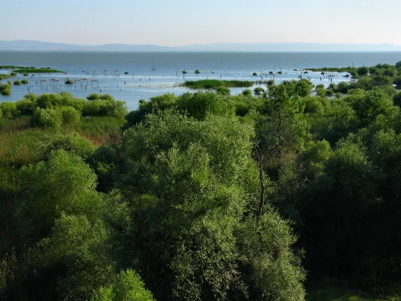 Manyas Kuşgölü - Balıkesir