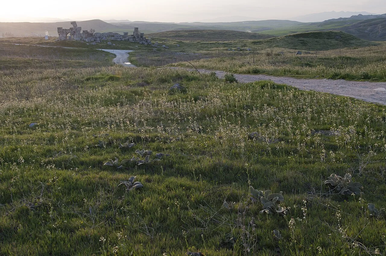Laodikeia Batı Hamamı - Denizli