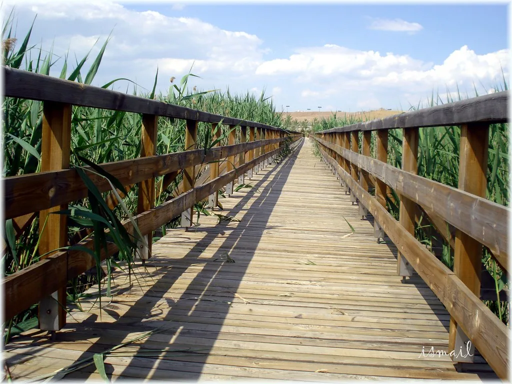 Wooden Bridge - Denizli