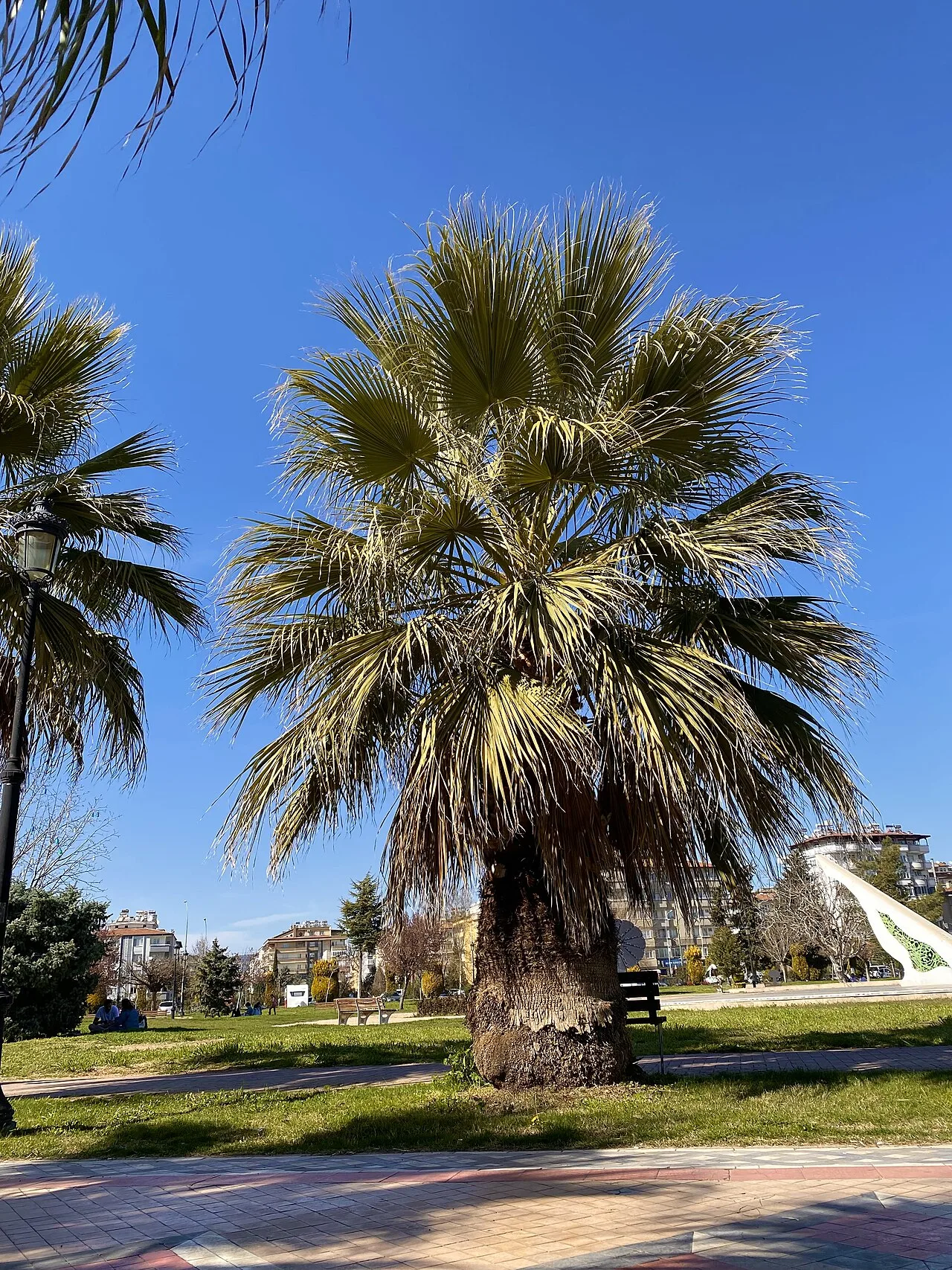 Masal Parkı - Gaziantep