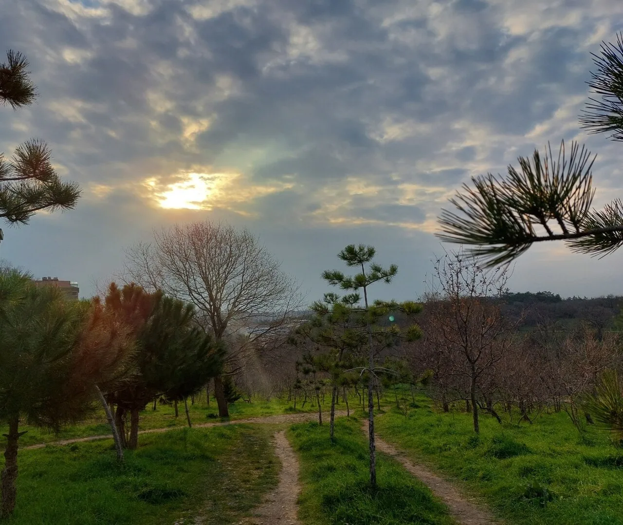 Çamlı Köşk, Validebağ Korusu - İstanbul