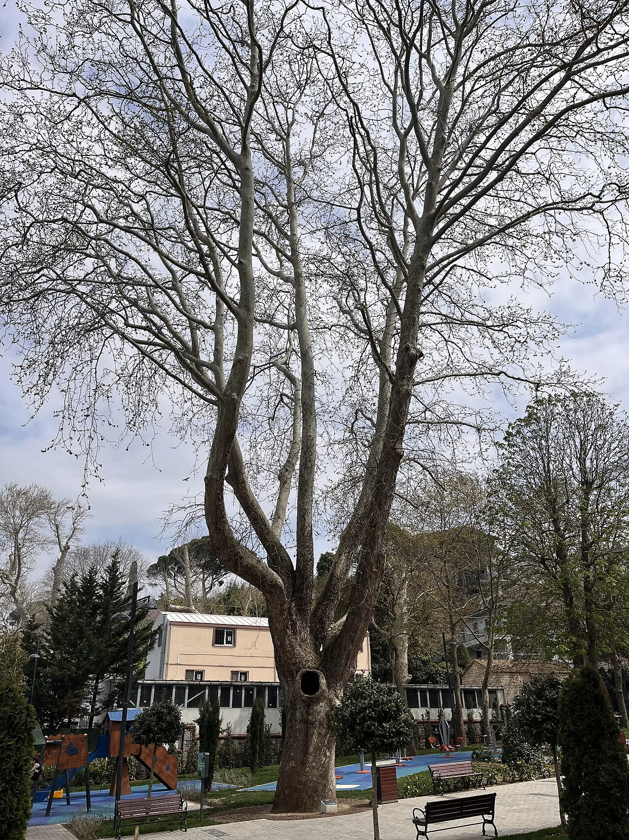 Havuzbaşı Parkı - İstanbul