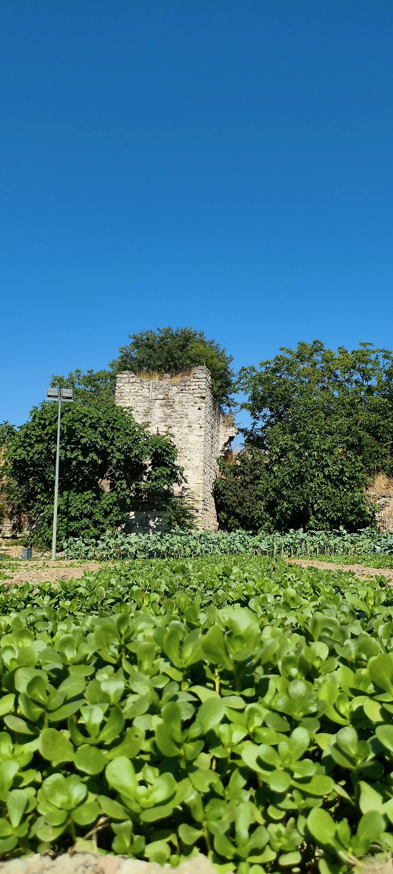 Kara Surları, Ana Sur, T38 - İstanbul