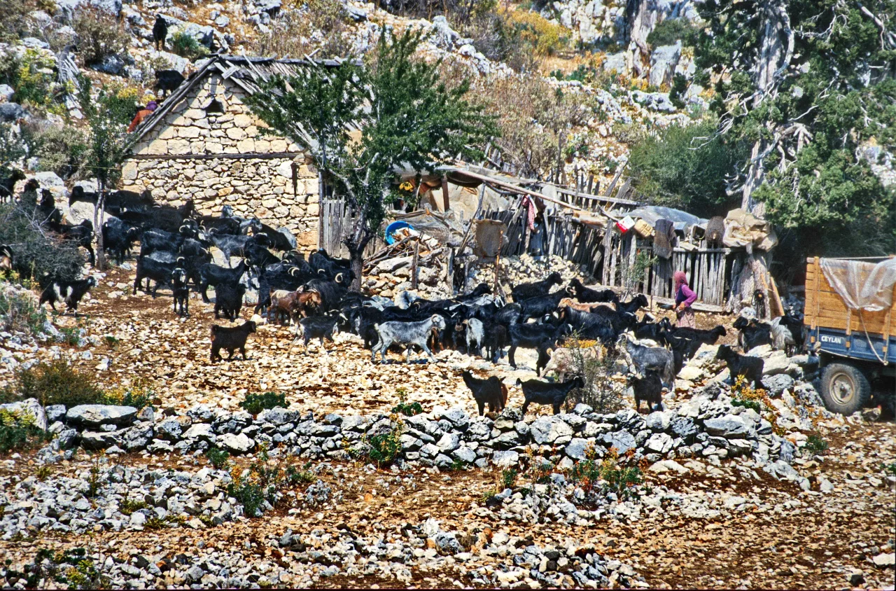 Alaca Dağı - Kars