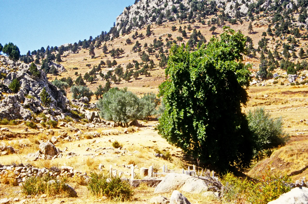 Ak Dağ (Konya) - Konya