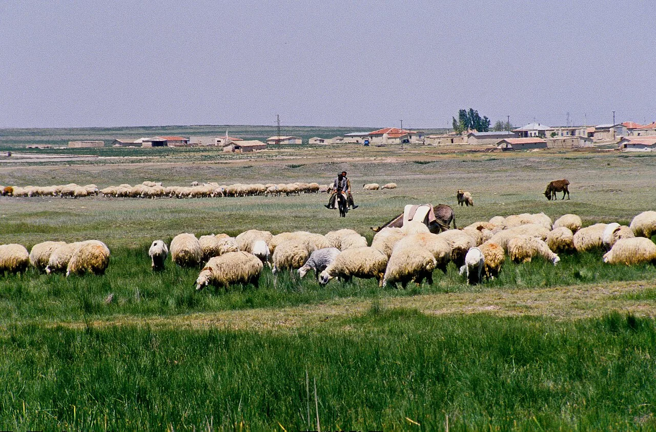Bolluk Gölü - Konya