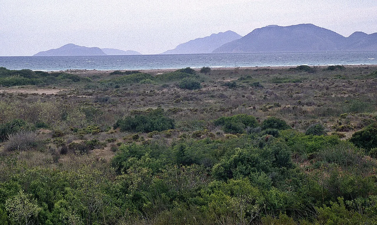 Göksu Deltası - Mersin