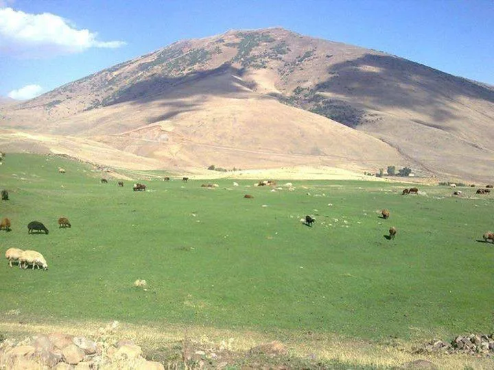 Göztepe Dağı - Muş