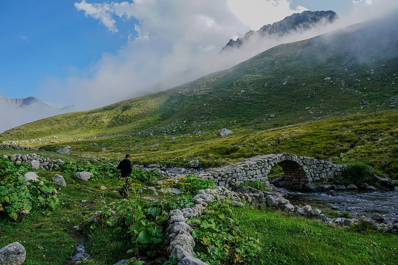 Apivanak Köprüsü - Rize
