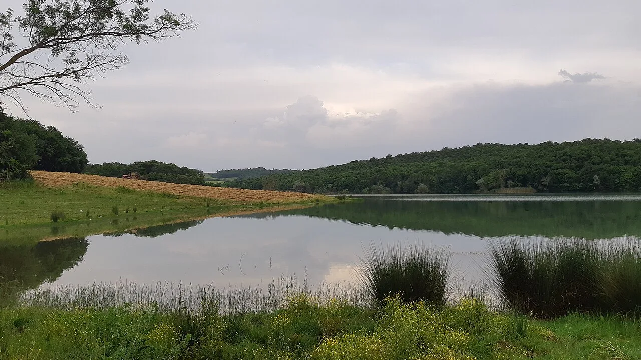 Reisler Okçular Gölü - Sakarya